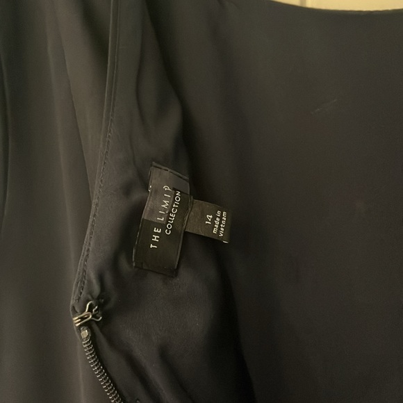 The Limited Collection Size 14 Navy Dress - Picture 3 of 4